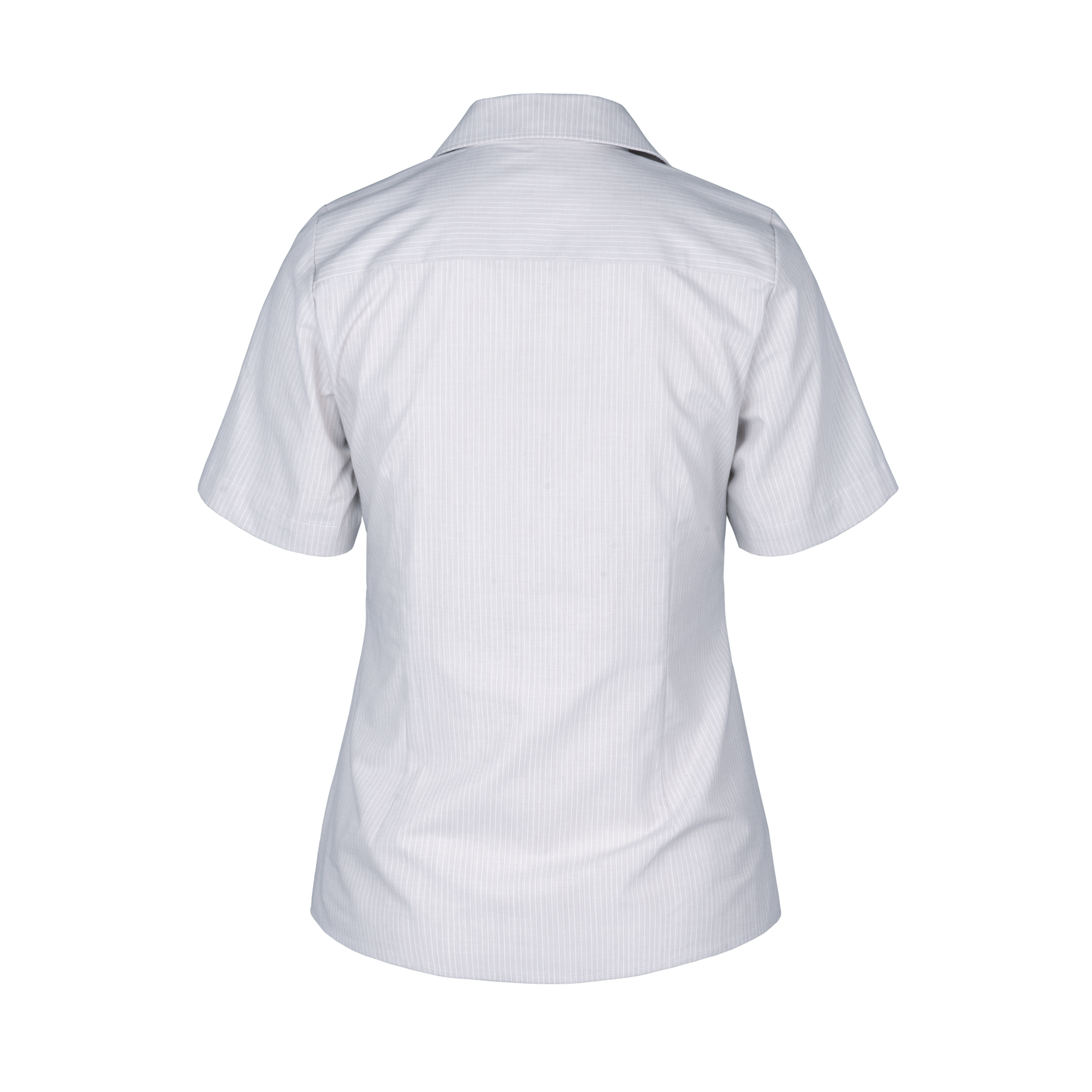 480260-produkt-Concept_Streifen-Bluse_kurzarm_hellgrau-03