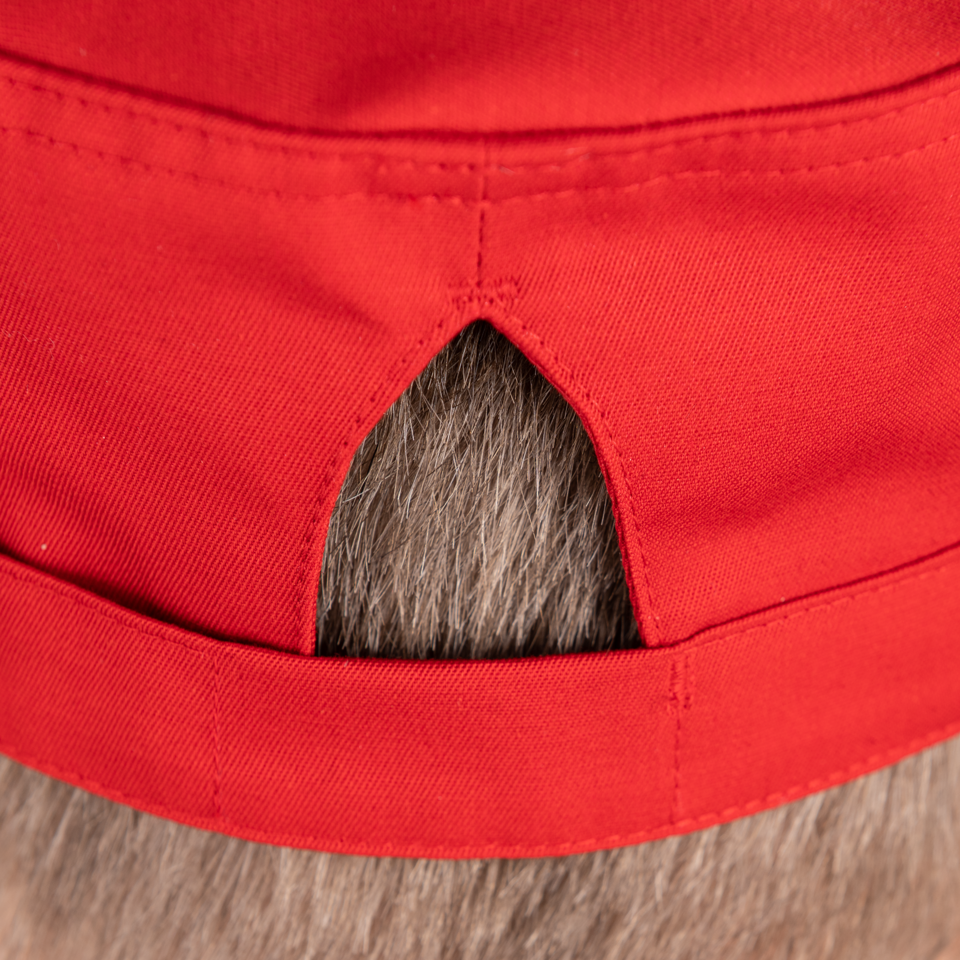 CONCEPT Kochmütze Detail