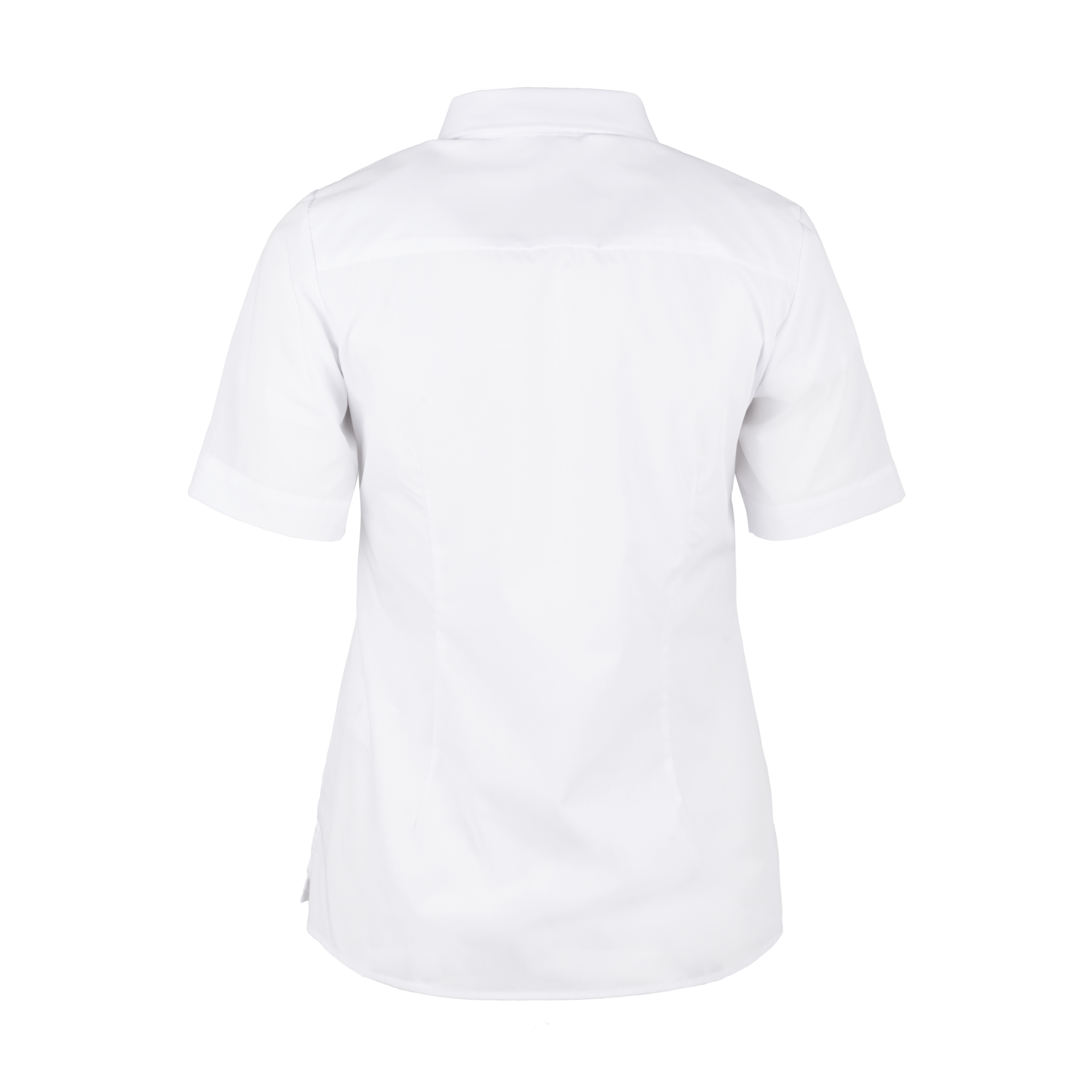 481365-produkt-CONCEPT-Bluse_UNI_kurzarm_weiss-03