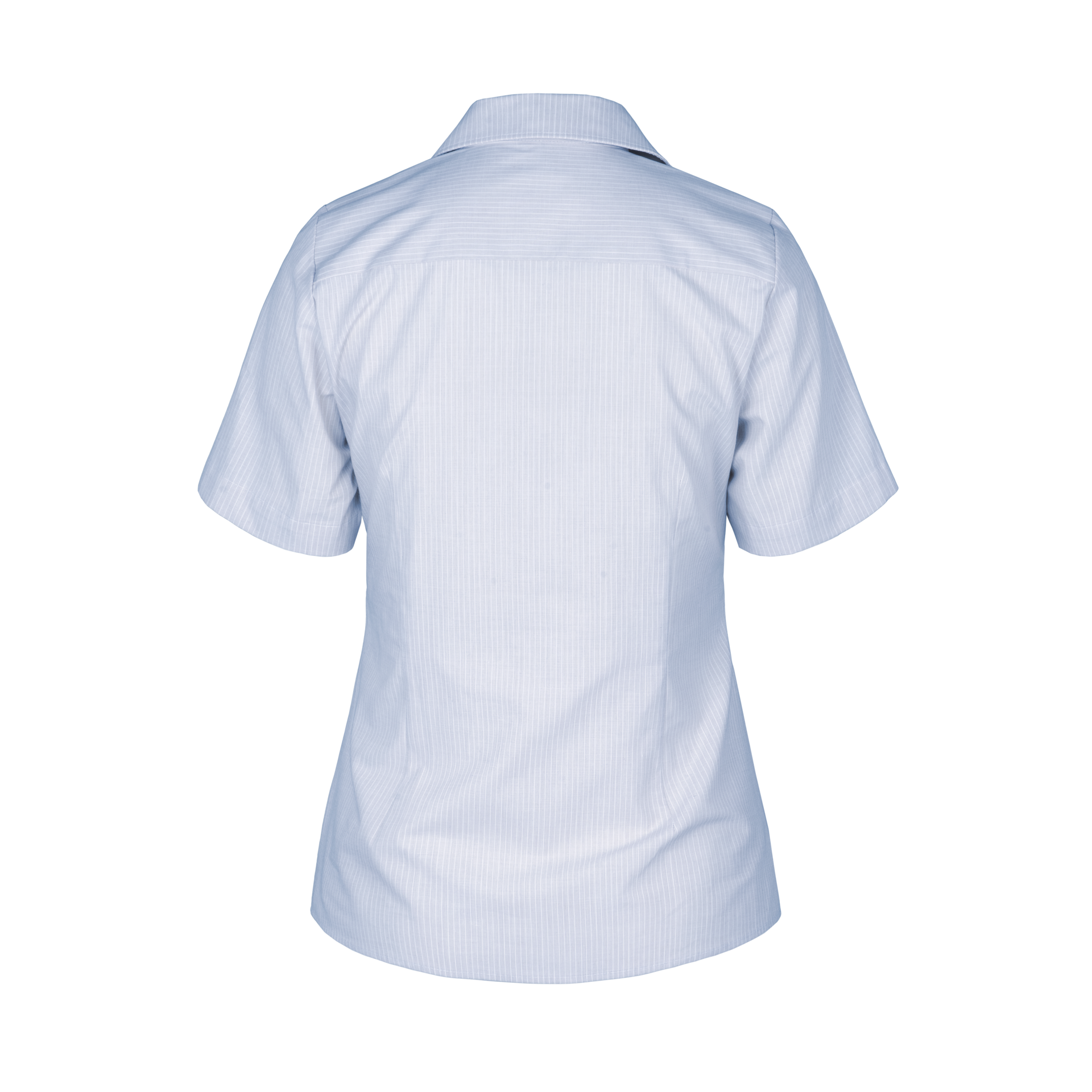480262-produkt-Concept_Streifen-Bluse_kurzarm_hellblau-03